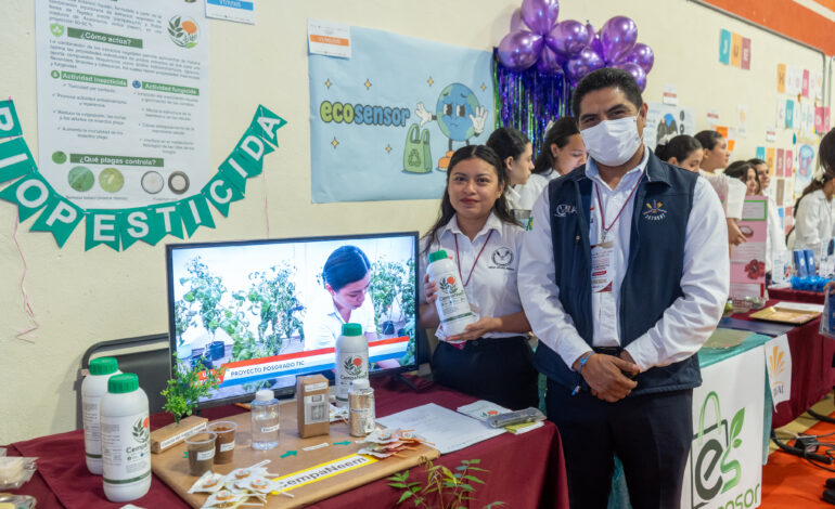 Desarrolla alumna de la UAT biopesticida que elimina plagas agrícolas