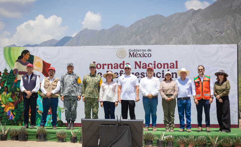 Reforestan tres hectáreas de La Huasteca con 2 mil 500 plantas nativas