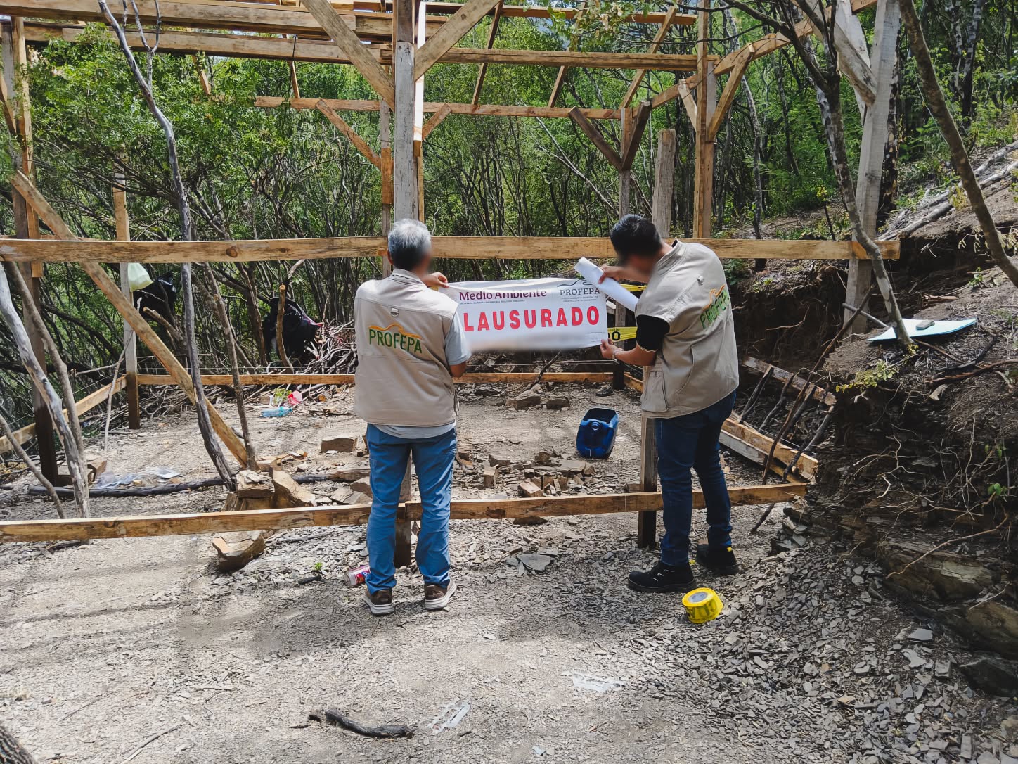 Profepa clausura 10 lotes por tala ilegal en el Cerro de la Silla