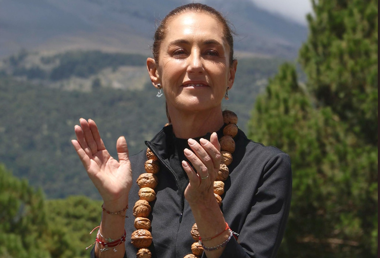 Encabeza Claudia Sheinbaum Jornada Nacional de Reforestación