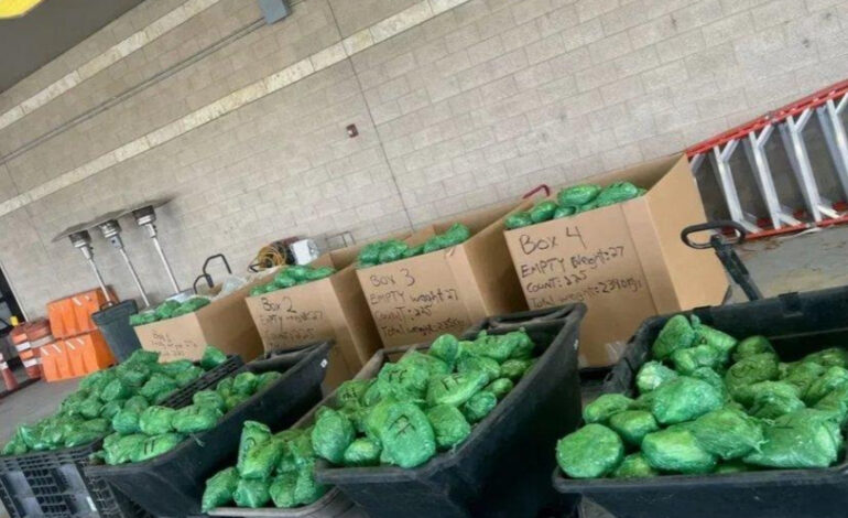 Aseguran 546 kilos de presunta metanfetamina en tráiler procedente de Reynosa