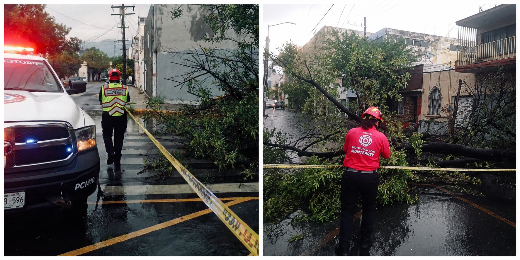 Lluvias y fuertes vientos derriban árboles y dañan infraestructura en Monterrey