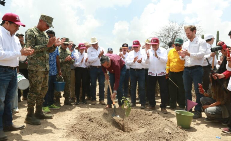 Tamaulipas participa en Jornada Nacional de Reforestación; se plantarán 15 mil árboles: Américo
