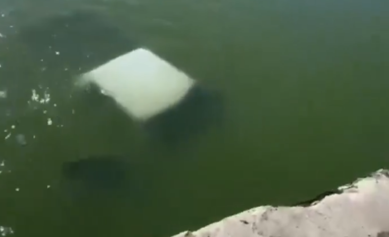Mueren cuatro marinos al caer vehículo al río en La Pesca
